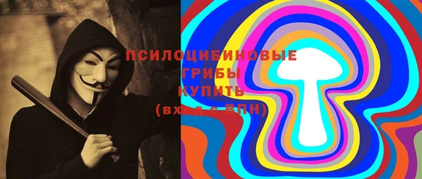 МДПВ Новозыбков
