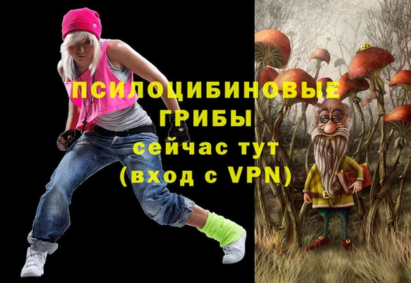 МДПВ Новодвинск