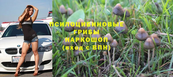 МДПВ Новозыбков