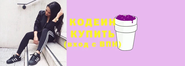 МДПВ Новозыбков