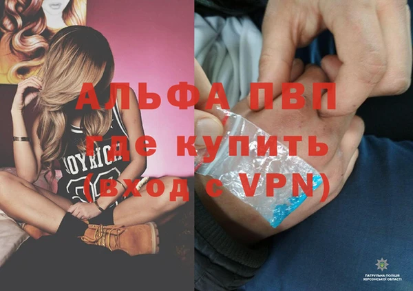 трава Няндома