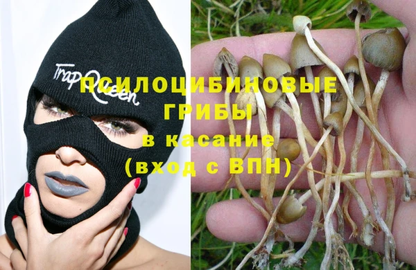 гашик Валдай